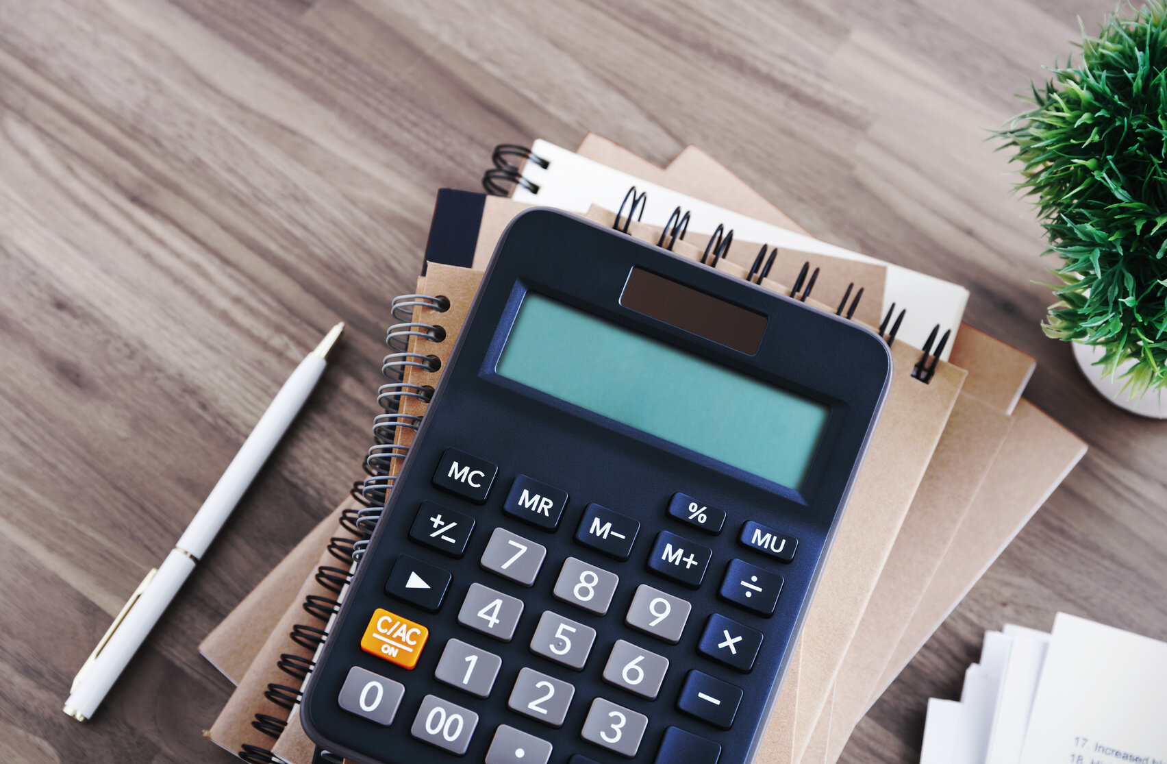 Налоговая  Отчетность 2025
